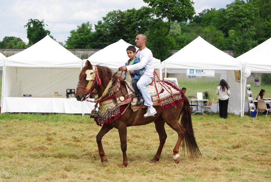 Le Moussem des Cultures 2008 092.jpg